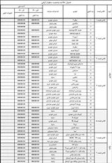 اخرین گزارش از بالا ترین و پایین ترین ستاره های کیفی خودرو ها  بازار در ایران + لیست (isqi )