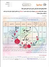  اعلام شرایط پیش فروش محصولات شرکت سایپا، اطلسS و سایناS به مناسبت شب یلدا 